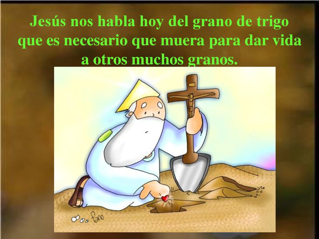 Jesús nos habla hoy del grano de trigo que es necesario que muera para dar vida a otros muchos granos.