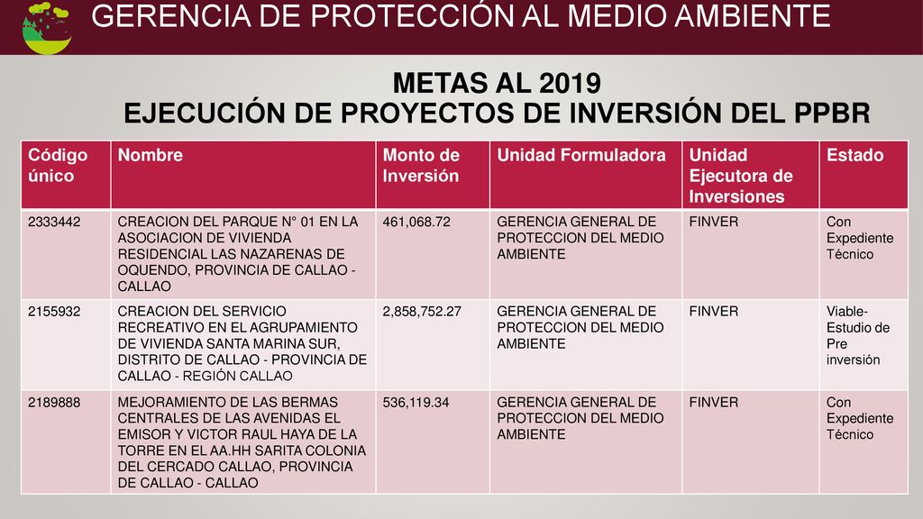 METAS AL 2019 EJECUCIÓN DE PROYECTOS DE INVERSIÓN del ppbr