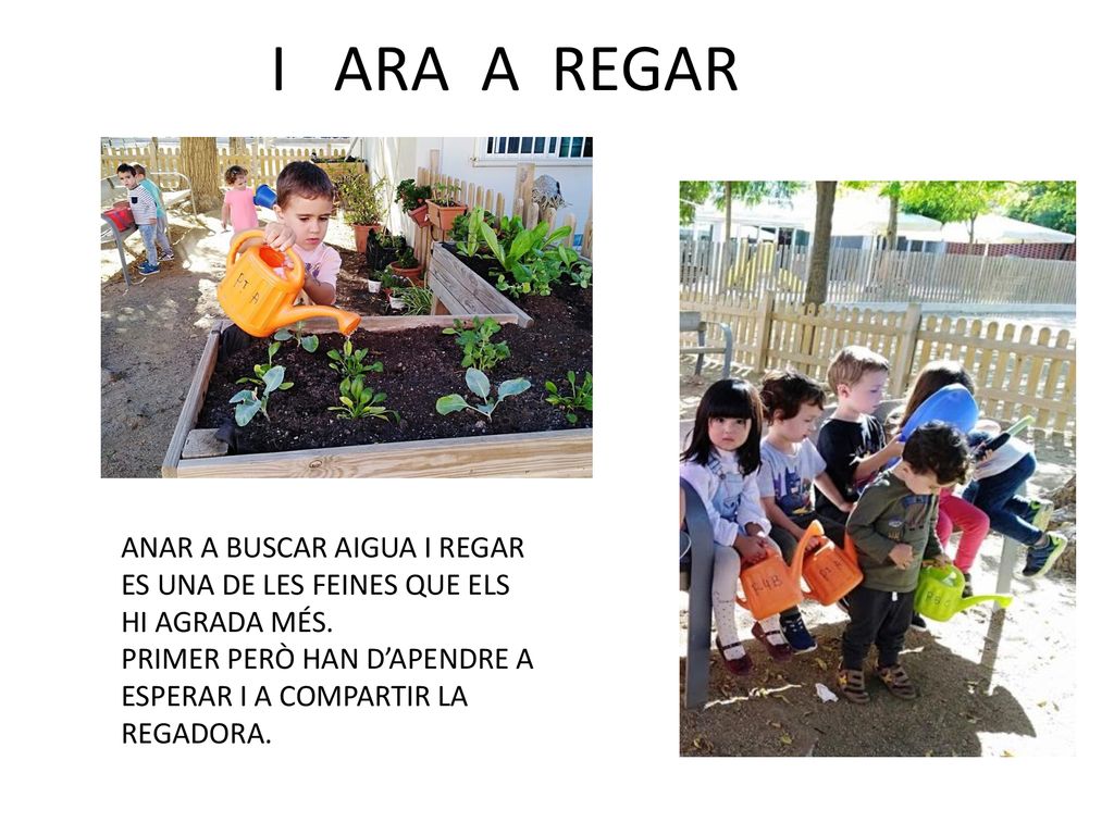 I ARA A REGAR ANAR A BUSCAR AIGUA I REGAR ES UNA DE LES FEINES QUE ELS HI AGRADA MÉS.