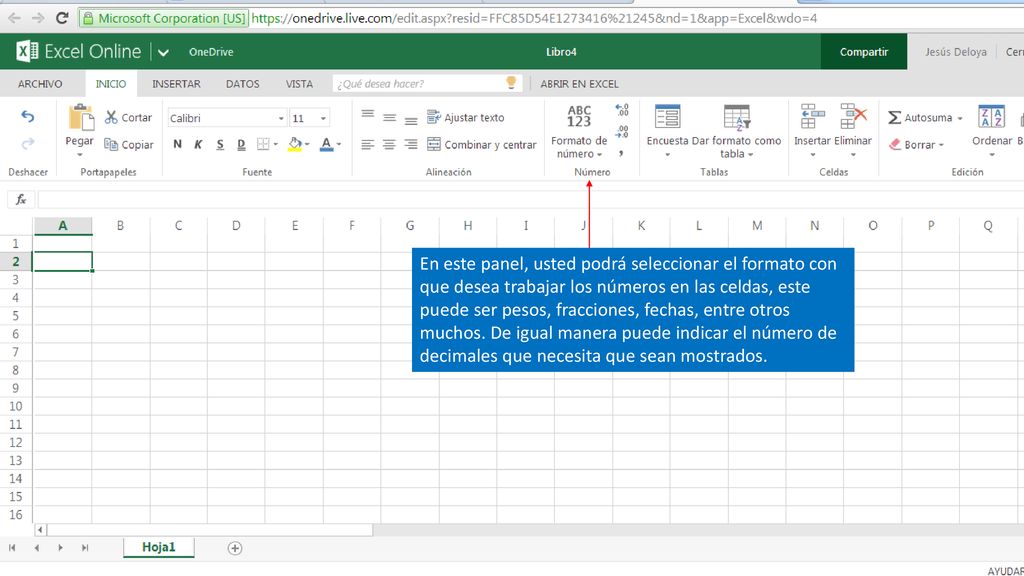 En este panel, usted podrá seleccionar el formato con que desea trabajar los números en las celdas, este puede ser pesos, fracciones, fechas, entre otros muchos.