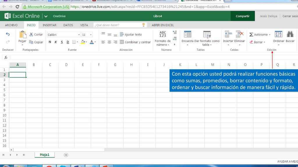 Con esta opción usted podrá realizar funciones básicas como sumas, promedios, borrar contenido y formato, ordenar y buscar información de manera fácil y rápida.