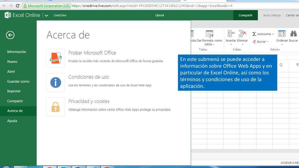 En este submenú se puede acceder a información sobre Office Web Apps y en particular de Excel Online, así como los términos y condiciones de uso de la aplicación.