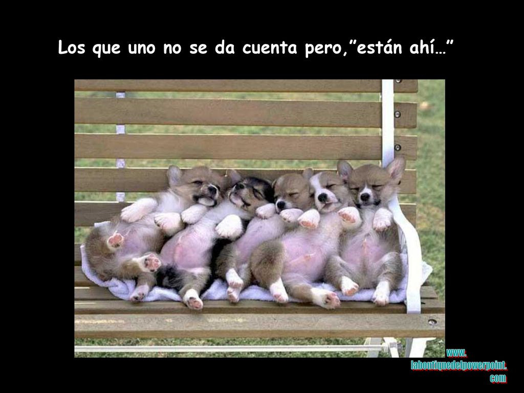 Los que uno no se da cuenta pero, están ahí…