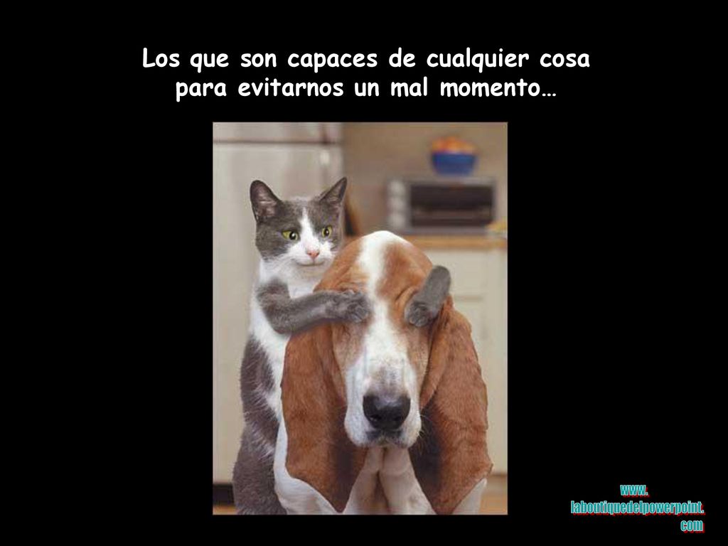 Los que son capaces de cualquier cosa para evitarnos un mal momento…