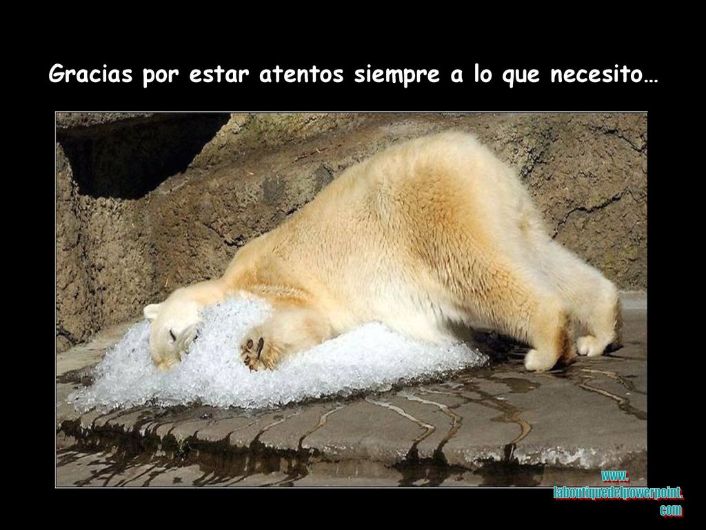 Gracias por estar atentos siempre a lo que necesito…