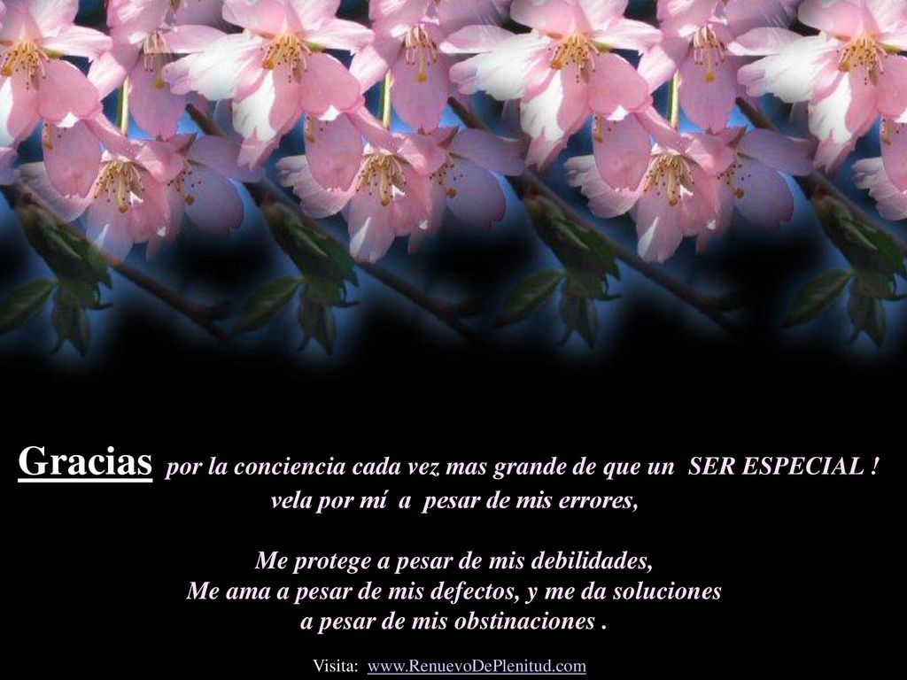 Gracias por la conciencia cada vez mas grande de que un SER ESPECIAL !