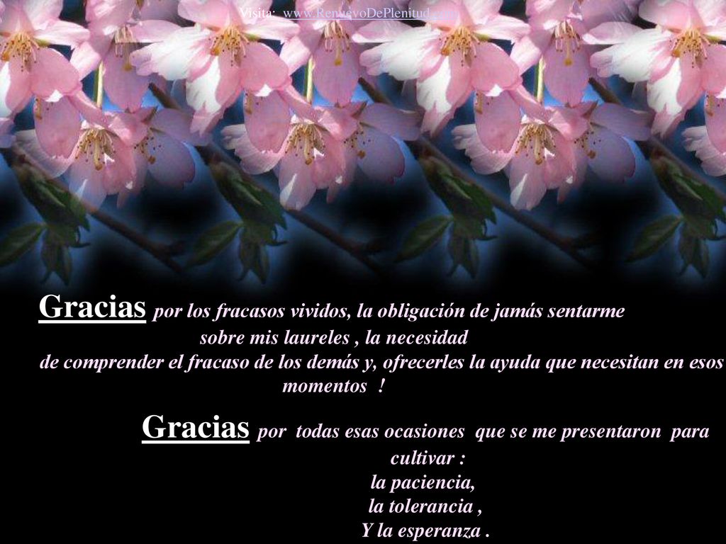 Gracias por los fracasos vividos, la obligación de jamás sentarme