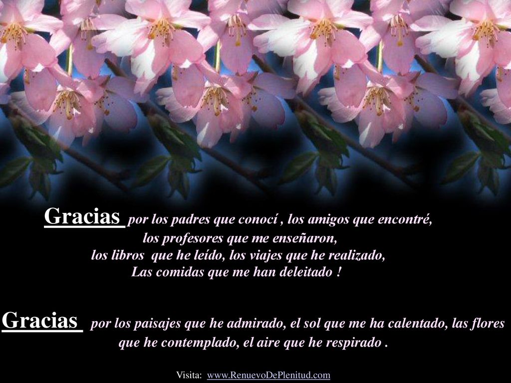 Gracias por los padres que conocí , los amigos que encontré,