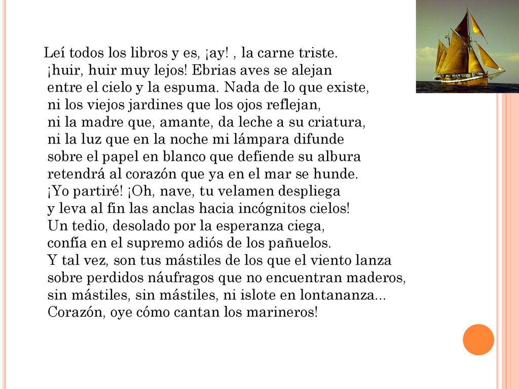 Leí todos los libros y es, ¡ay. , la carne triste