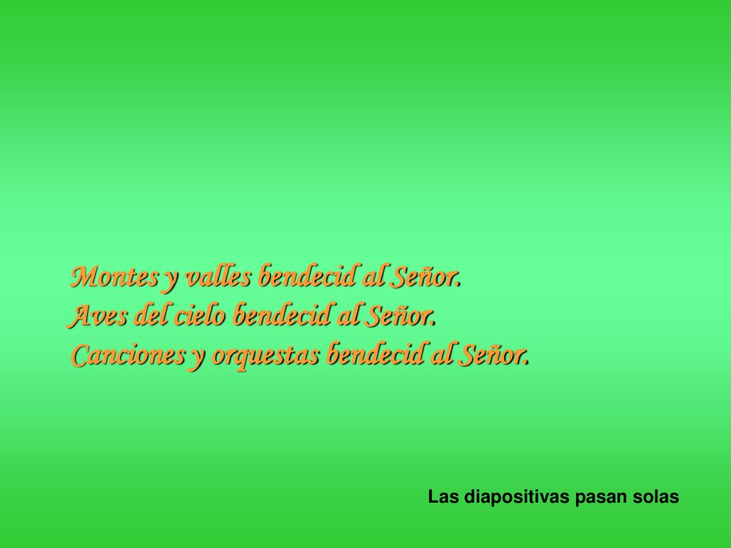 Montes y valles bendecid al Señor. Aves del cielo bendecid al Señor.