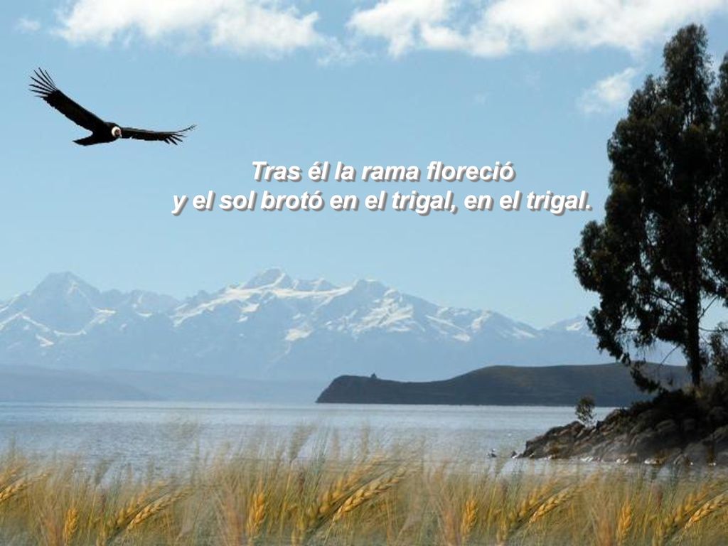 Tras él la rama floreció y el sol brotó en el trigal, en el trigal.