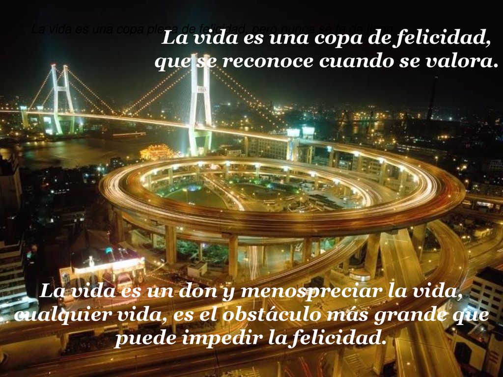 La vida es una copa de felicidad, que se reconoce cuando se valora.