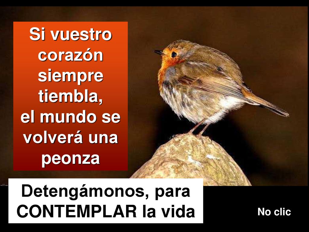 Si vuestro corazón siempre tiembla, el mundo se volverá una peonza
