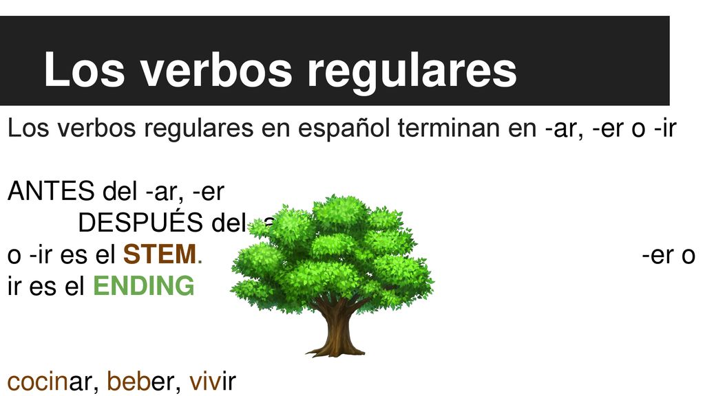 Los verbos regulares Los verbos regulares en español terminan en -ar, -er o -ir. ANTES del -ar, -er DESPUÉS del -ar.