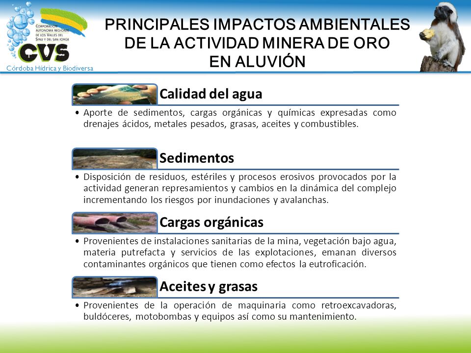 PRINCIPALES IMPACTOS AMBIENTALES DE LA ACTIVIDAD MINERA DE ORO EN ALUVIÓN