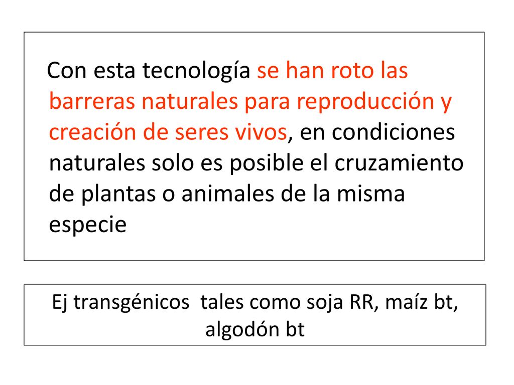 Ej transgénicos tales como soja RR, maíz bt, algodón bt