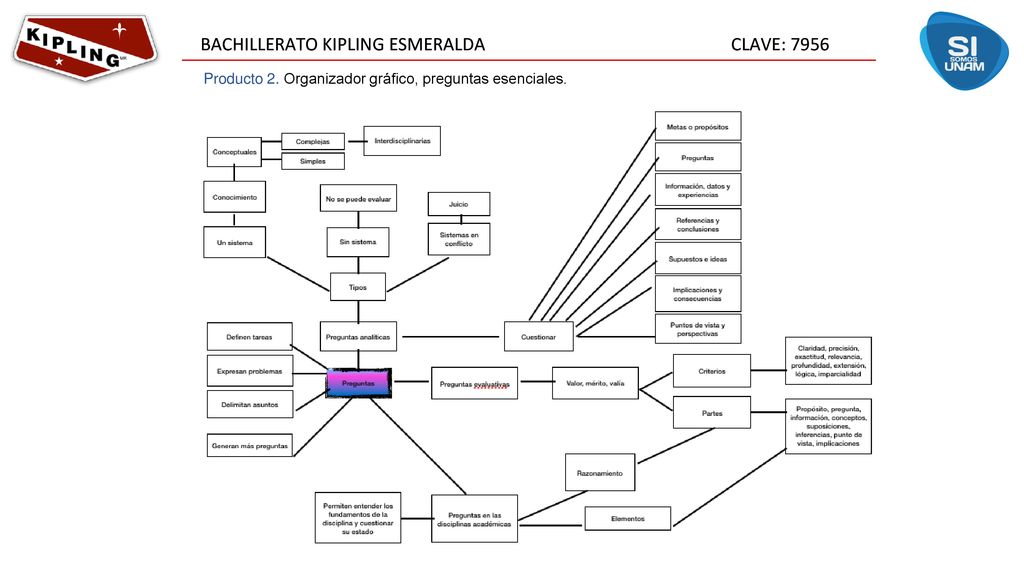 Producto 2. Organizador gráfico, preguntas esenciales.