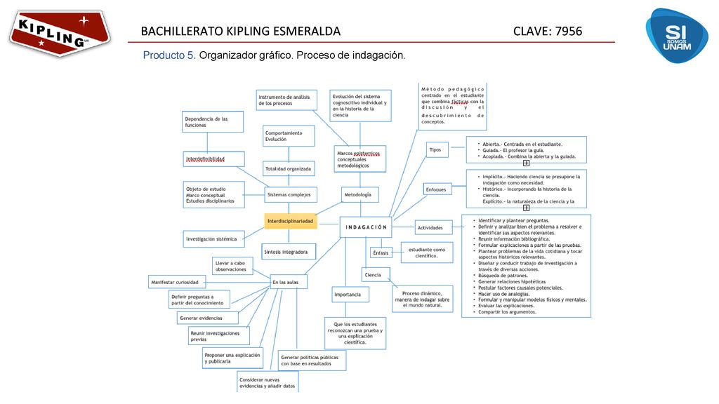 Producto 5. Organizador gráfico. Proceso de indagación.