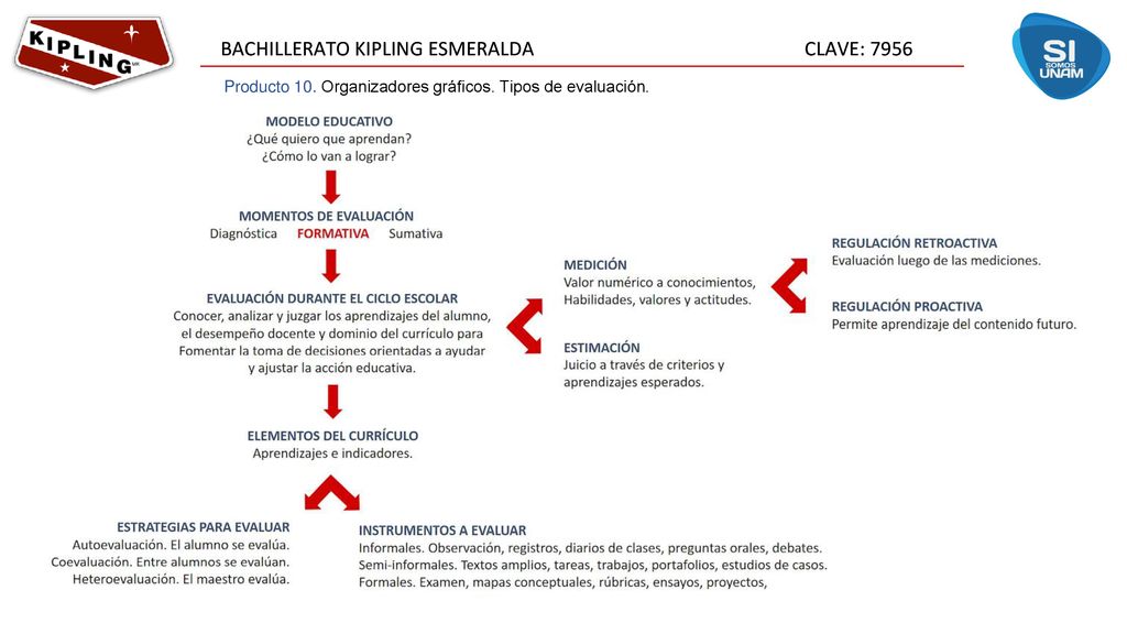 Producto 10. Organizadores gráficos. Tipos de evaluación.