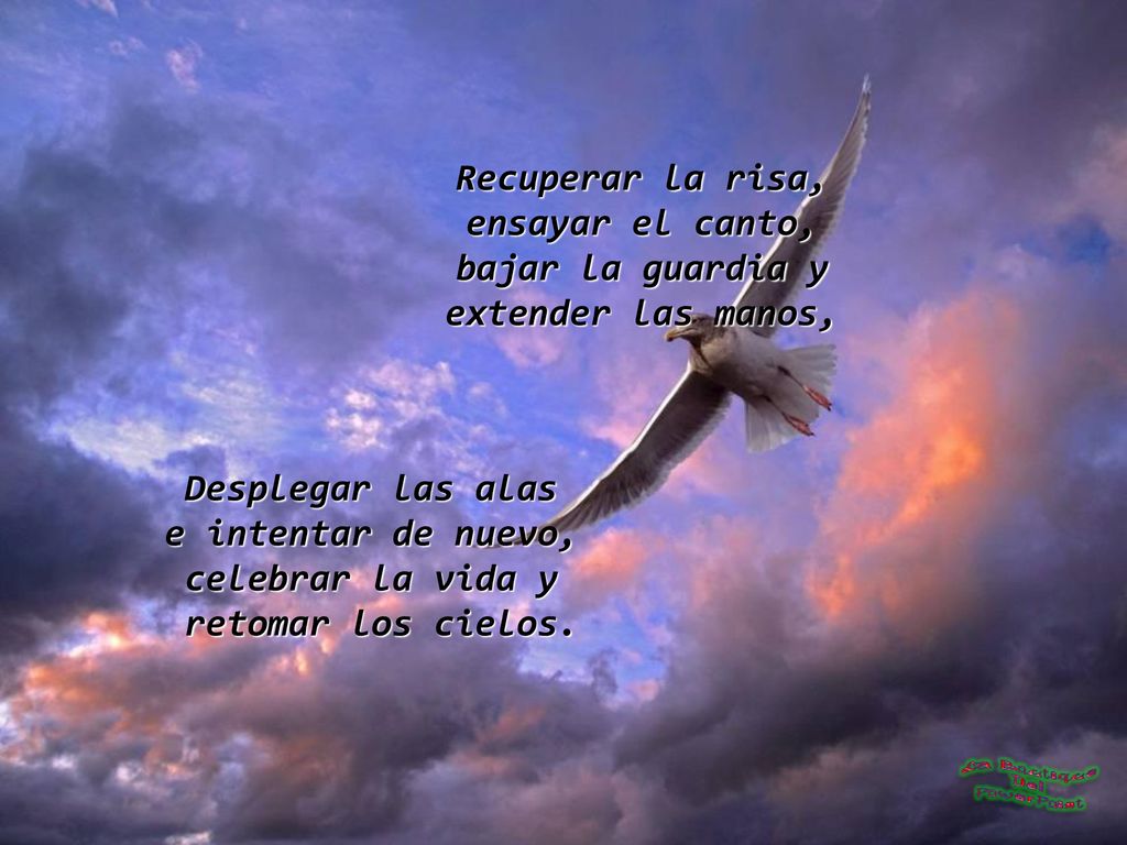 Recuperar la risa, ensayar el canto, bajar la guardia y