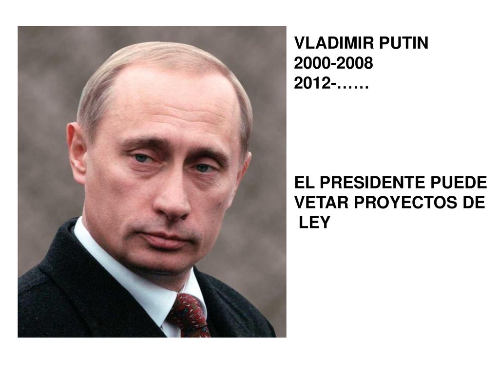 VLADIMIR PUTIN …… EL PRESIDENTE PUEDE VETAR PROYECTOS DE LEY