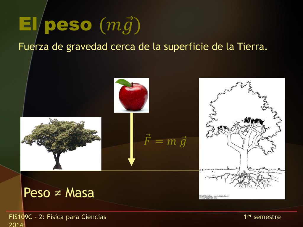 Peso ≠ Masa Fuerza de gravedad cerca de la superficie de la Tierra.