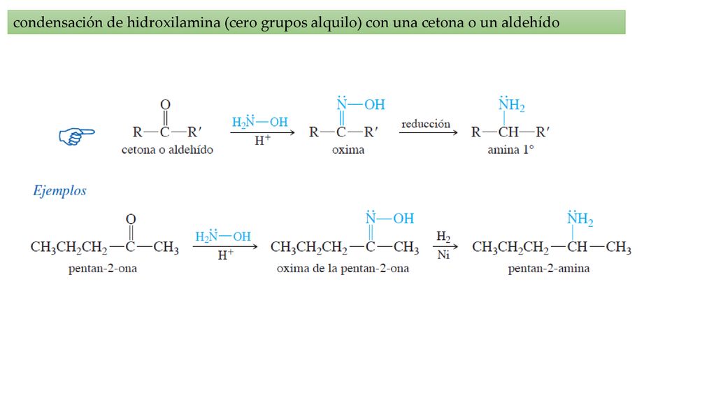 condensación de hidroxilamina (cero grupos alquilo) con una cetona o un aldehído