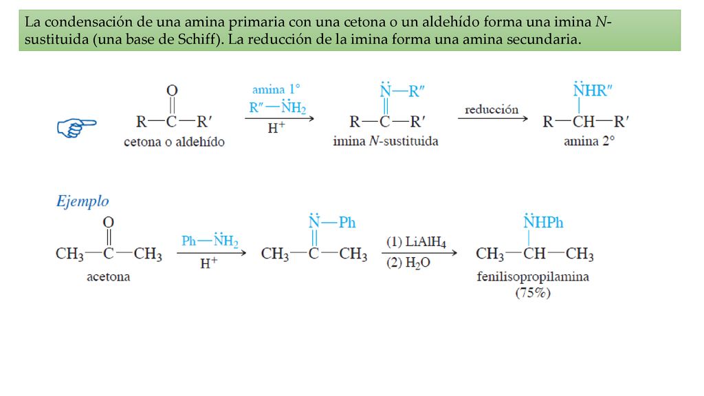 La condensación de una amina primaria con una cetona o un aldehído forma una imina N-sustituida (una base de Schiff).