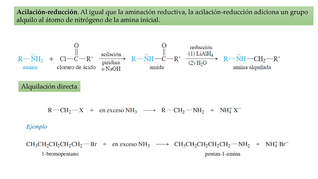 Acilación-reducción. Al igual que la aminación reductiva, la acilación-reducción adiciona un grupo alquilo al átomo de nitrógeno de la amina inicial.