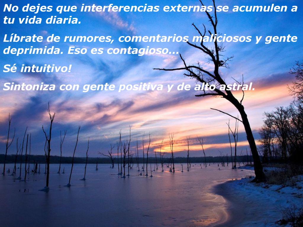 No dejes que interferencias externas se acumulen a tu vida diaria.