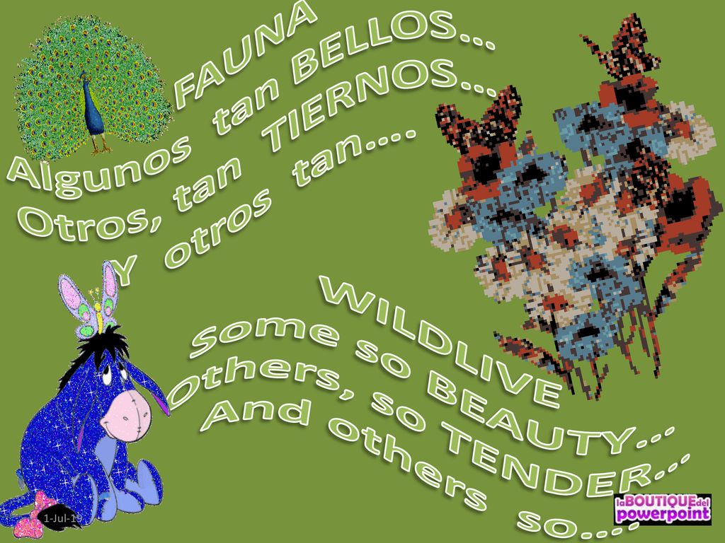FAUNA Algunos tan BELLOS… Otros, tan TIERNOS… Y otros tan…. WILDLIVE