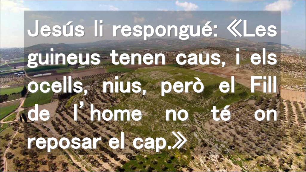 Jesús li respongué: «Les guineus tenen caus, i els ocells, nius, però el Fill de l’home no té on reposar el cap.»