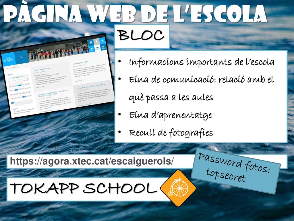 Pàgina web de l’escola BLOC TOKAPP SCHOOL Password fotos: topsecret