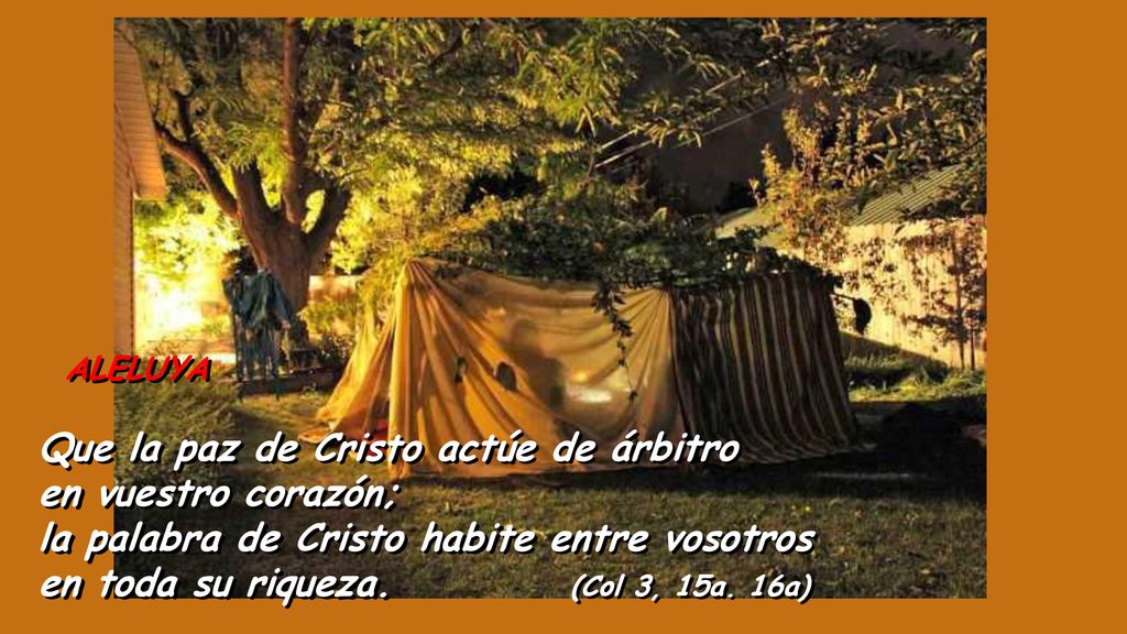 Que la paz de Cristo actúe de árbitro en vuestro corazón;