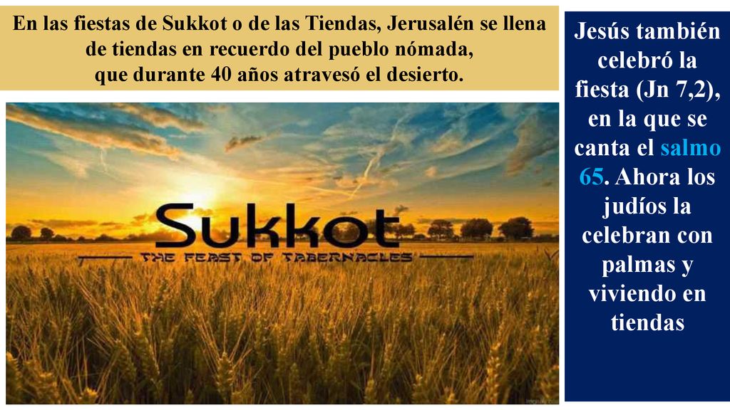 En las fiestas de Sukkot o de las Tiendas, Jerusalén se llena de tiendas en recuerdo del pueblo nómada, que durante 40 años atravesó el desierto.