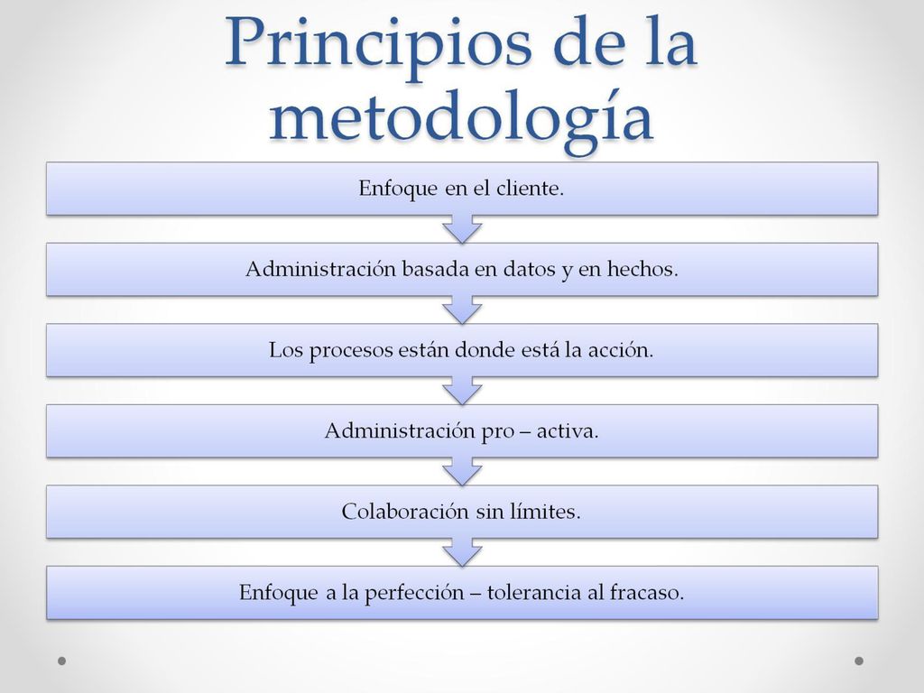 Principios de la metodología