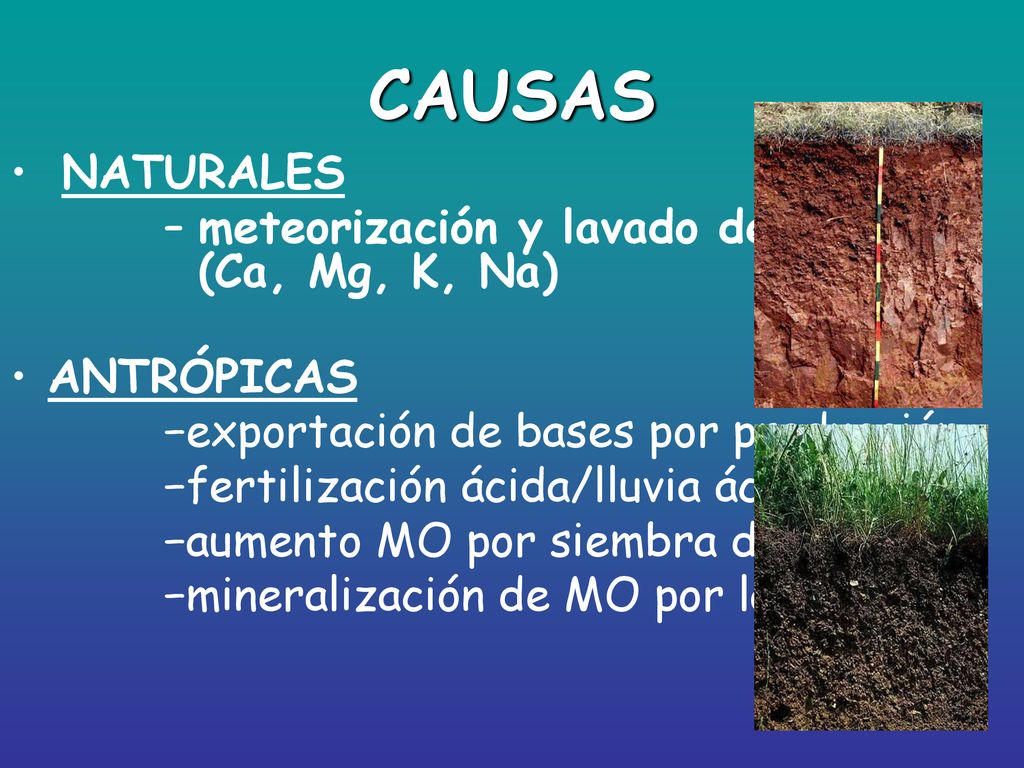 CAUSAS NATURALES meteorización y lavado de bases (Ca, Mg, K, Na)