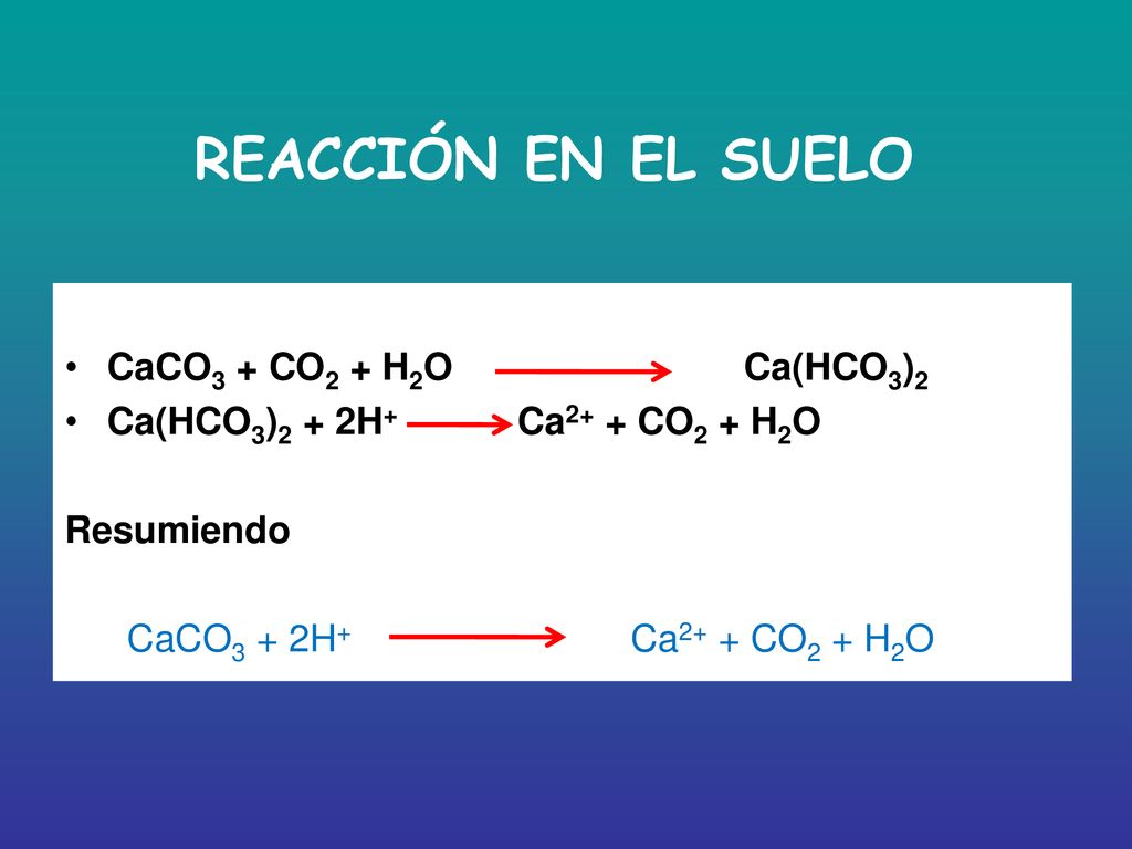 REACCIÓN EN EL SUELO CaCO3 + CO2 + H2O Ca(HCO3)2