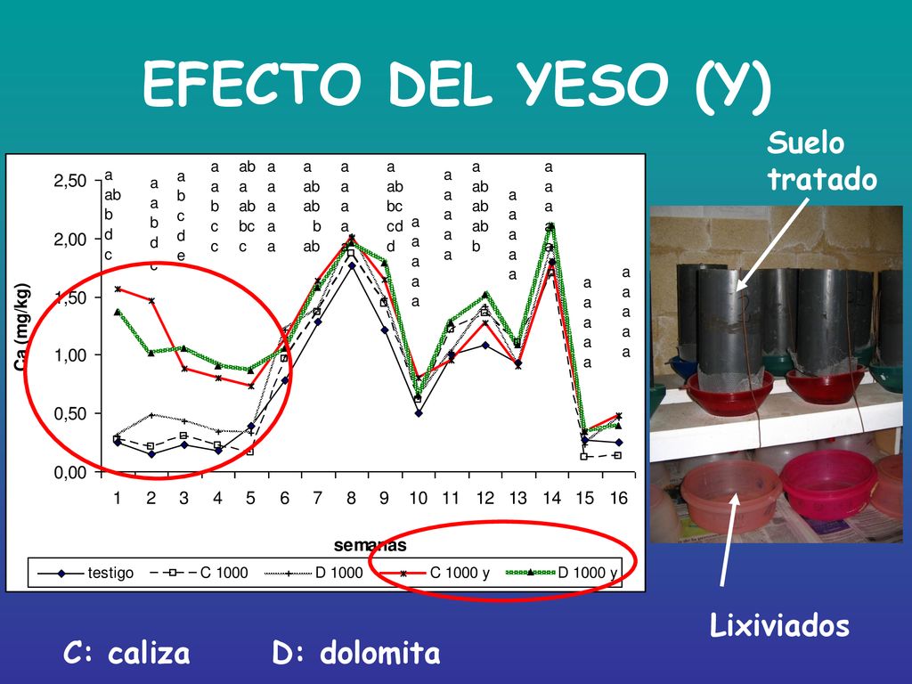EFECTO DEL YESO (Y) Suelo tratado Lixiviados C: caliza D: dolomita