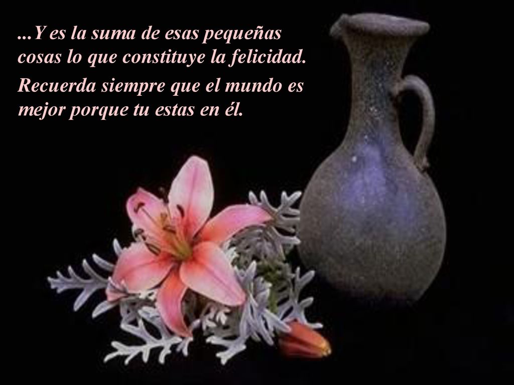 ...Y es la suma de esas pequeñas cosas lo que constituye la felicidad.