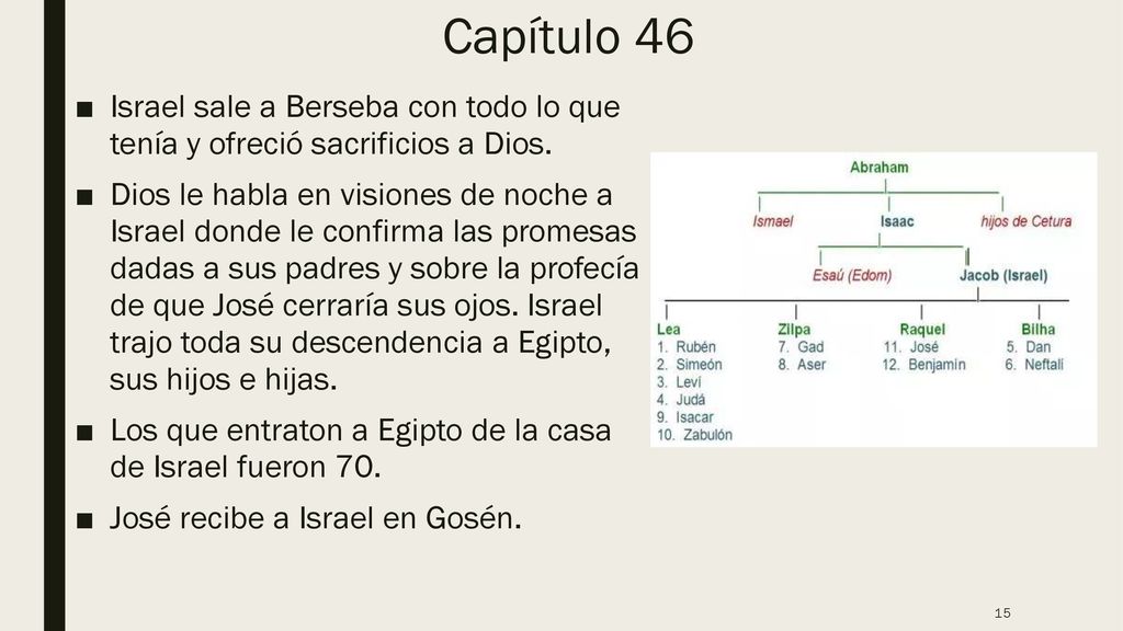 Capítulo 46 Israel sale a Berseba con todo lo que tenía y ofreció sacrificios a Dios.