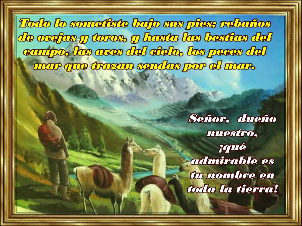 Señor, dueño nuestro, ¡qué admirable es tu nombre en toda la tierra!