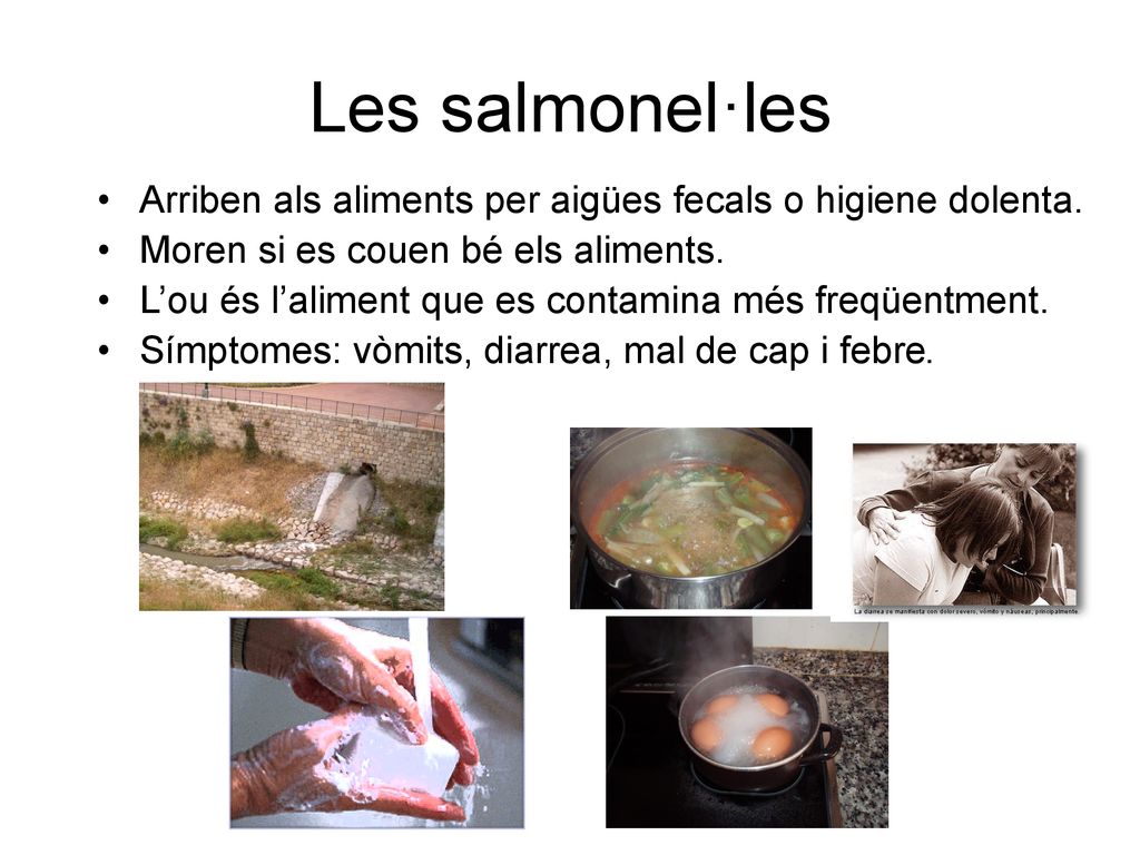 Les salmonel·les Arriben als aliments per aigües fecals o higiene dolenta. Moren si es couen bé els aliments.