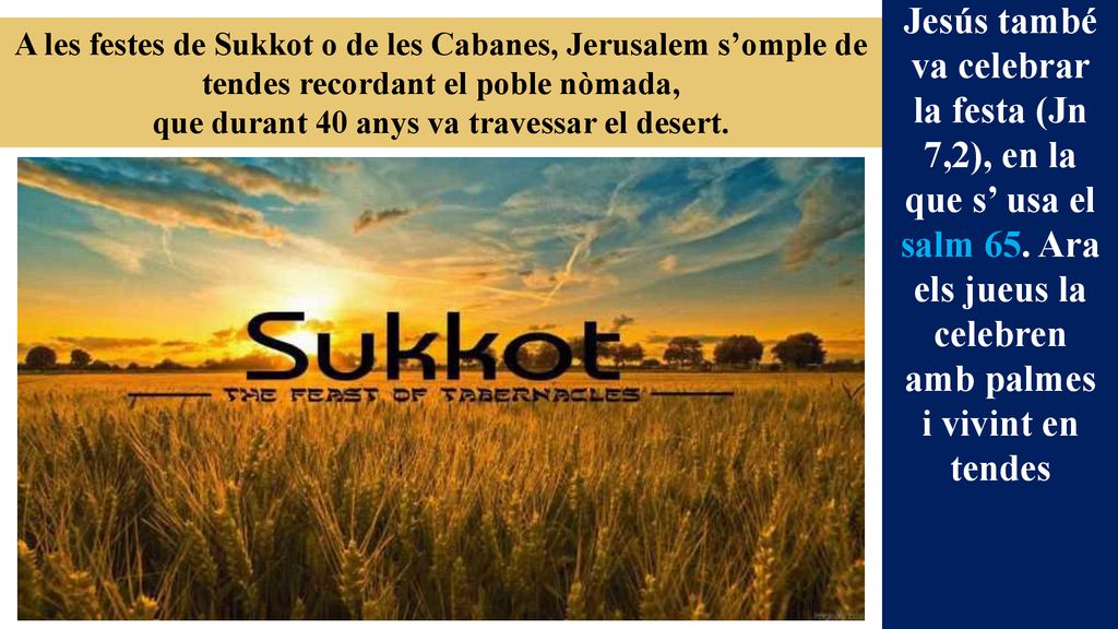 Jesús també va celebrar la festa (Jn 7,2), en la que s’ usa el salm 65