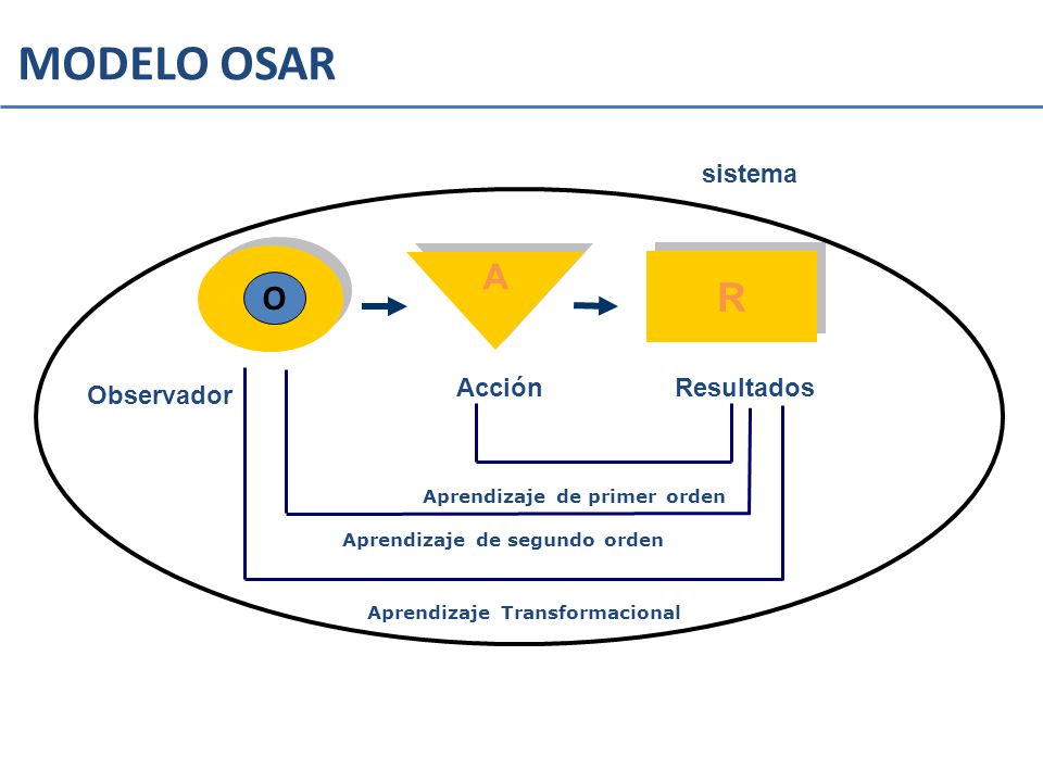 MODELO OSAR R A O sistema Acción Resultados Observador