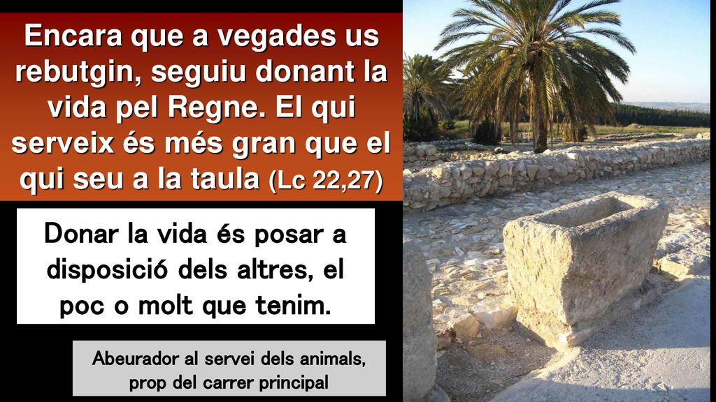 Abeurador al servei dels animals, prop del carrer principal