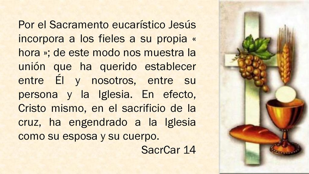 Por el Sacramento eucarístico Jesús incorpora a los fieles a su propia « hora »; de este modo nos muestra la unión que ha querido establecer entre Él y nosotros, entre su persona y la Iglesia. En efecto, Cristo mismo, en el sacrificio de la cruz, ha engendrado a la Iglesia como su esposa y su cuerpo.