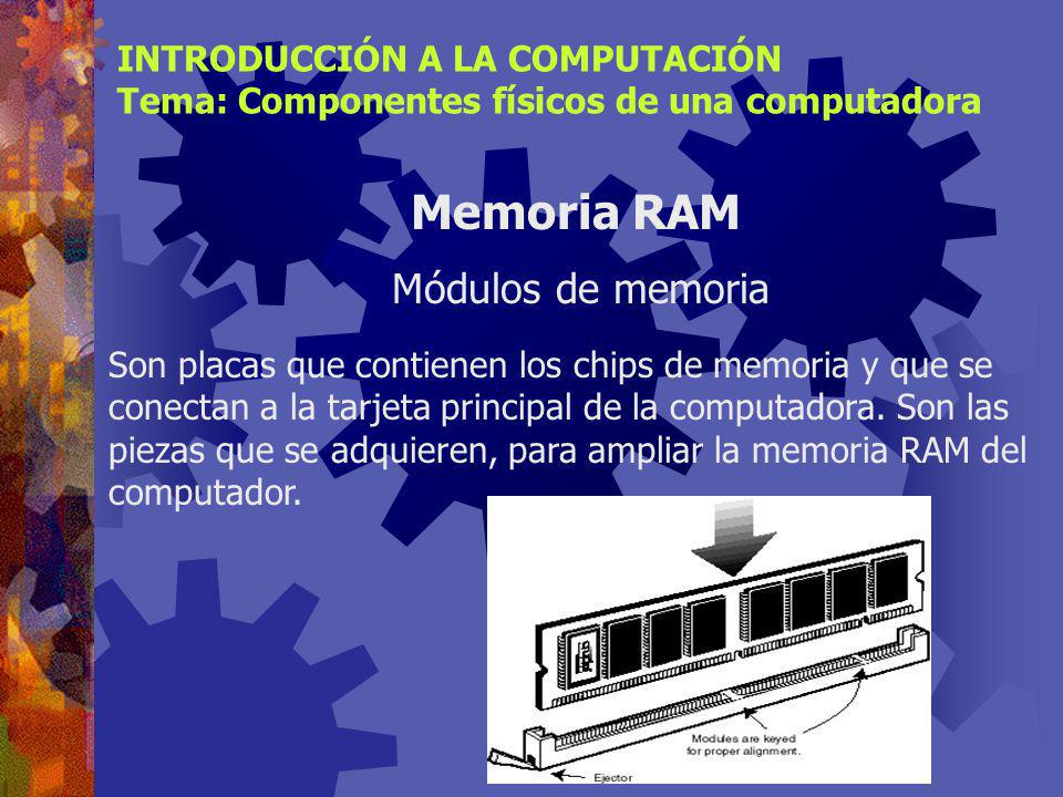 Memoria RAM Módulos de memoria INTRODUCCIÓN A LA COMPUTACIÓN