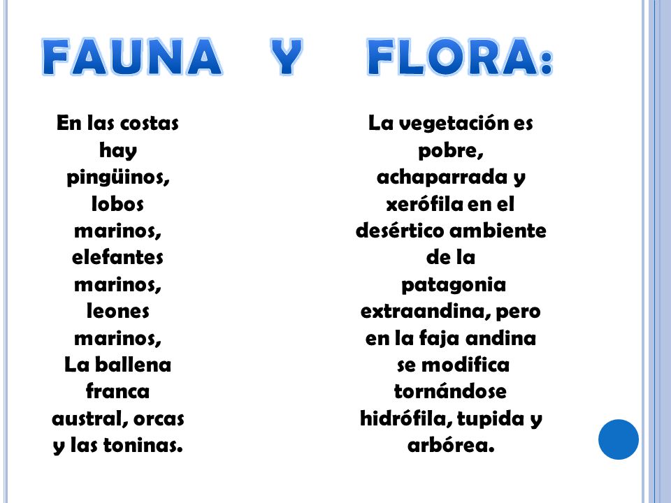 FAUNA Y FLORA: En las costas hay pingüinos, lobos marinos, elefantes marinos, leones marinos, La ballena franca austral, orcas y las toninas.