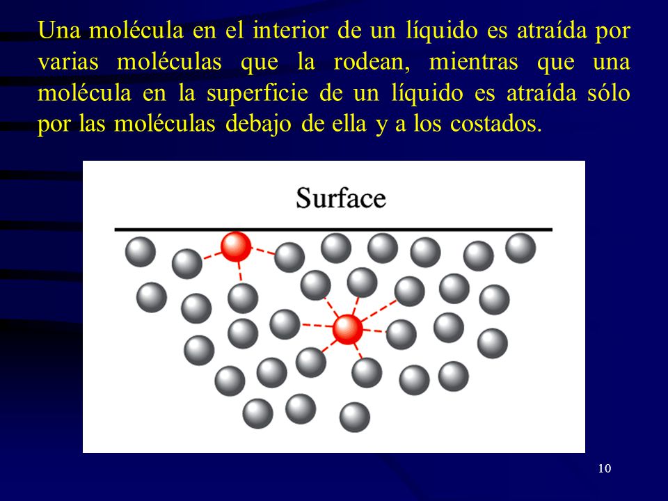 Una molécula en el interior de un líquido es atraída por varias moléculas que la rodean, mientras que una molécula en la superficie de un líquido es atraída sólo por las moléculas debajo de ella y a los costados.